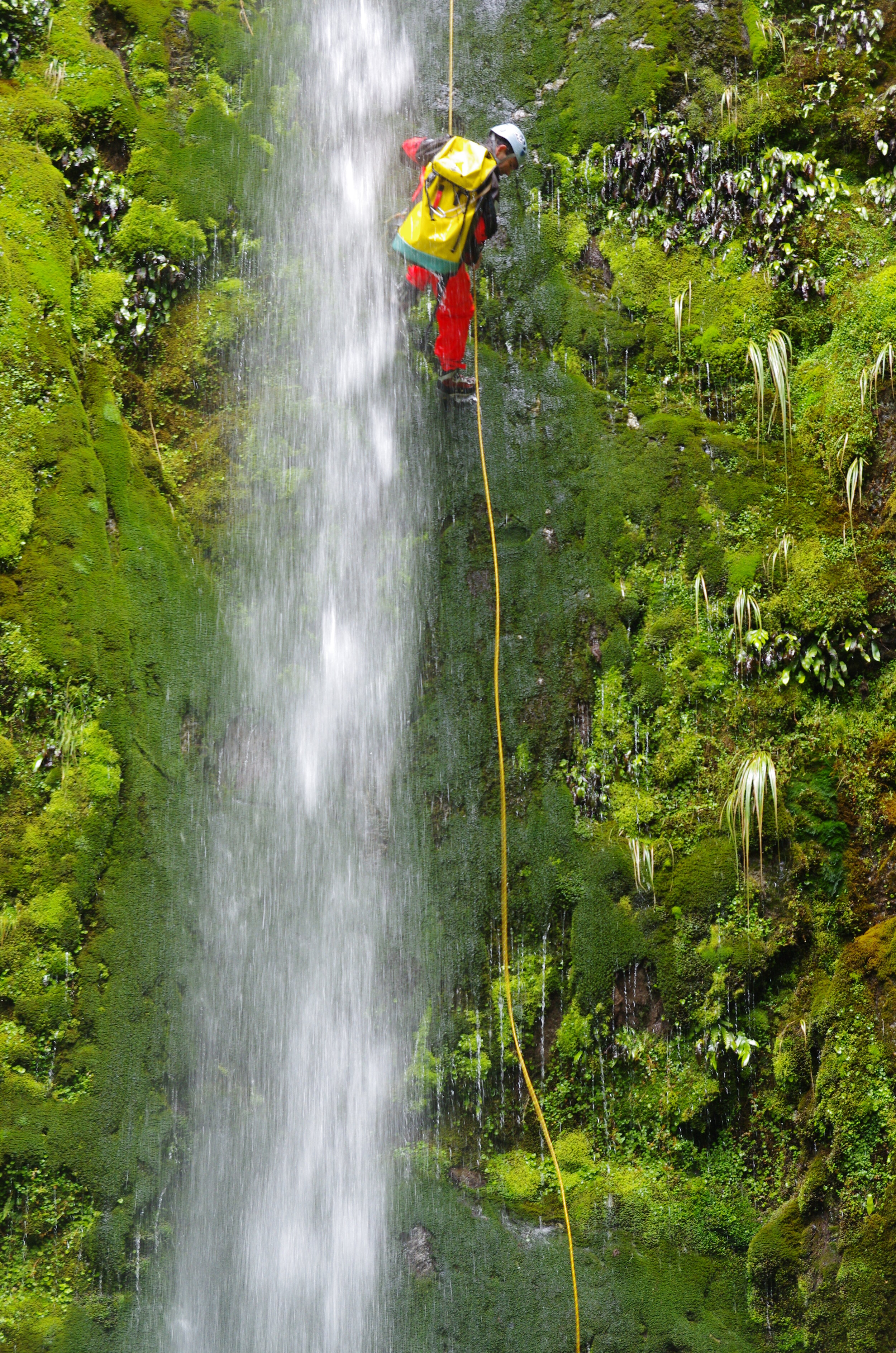 Aotearoa — archive photographique 8
