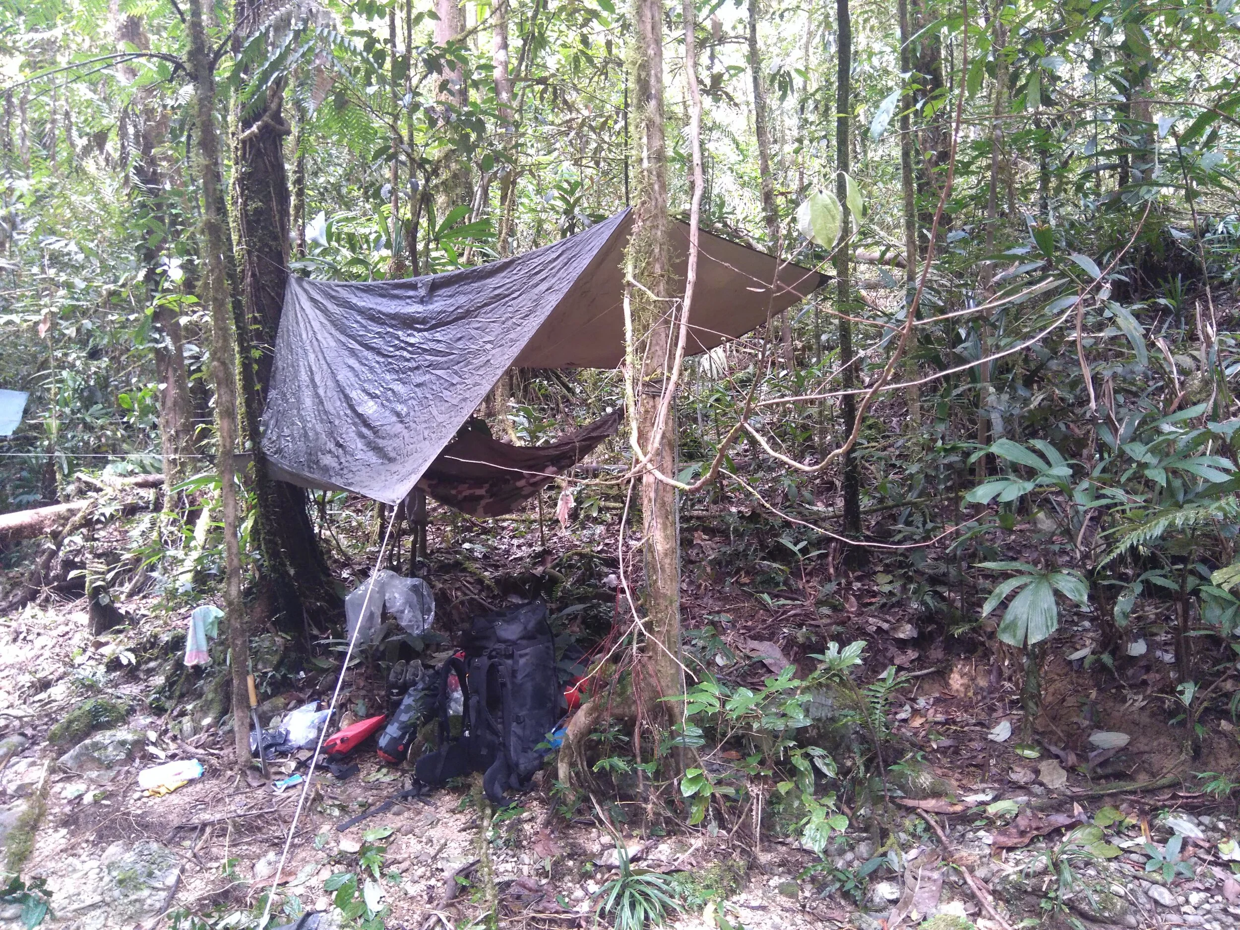 Bivouac sous la canopée pendant la progression dans la jungle.